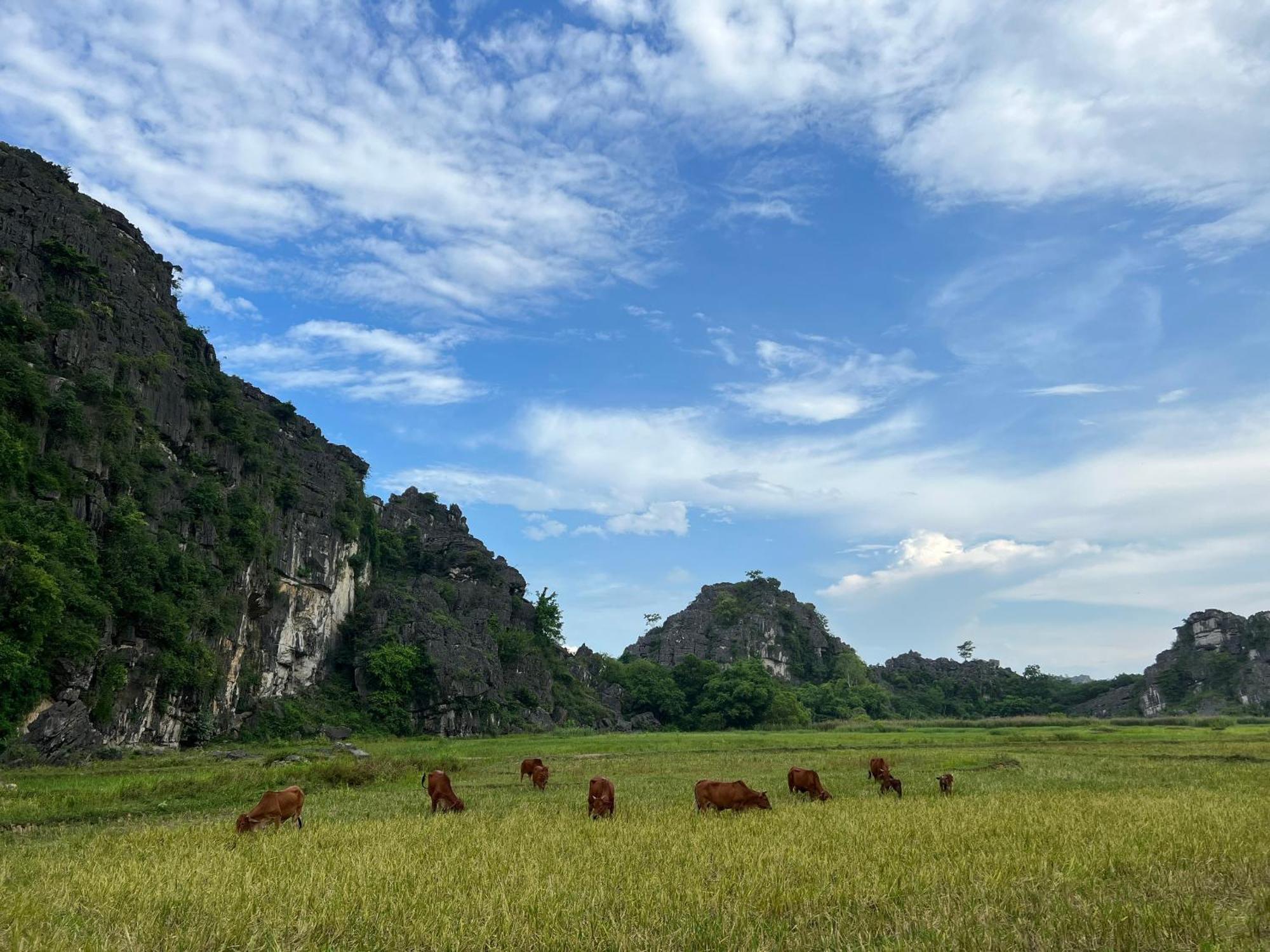 Ninh Binh Family Homestay Exterior foto