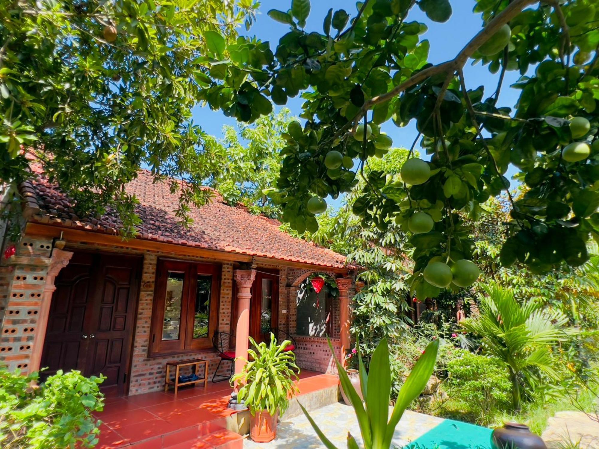 Ninh Binh Family Homestay Exterior foto
